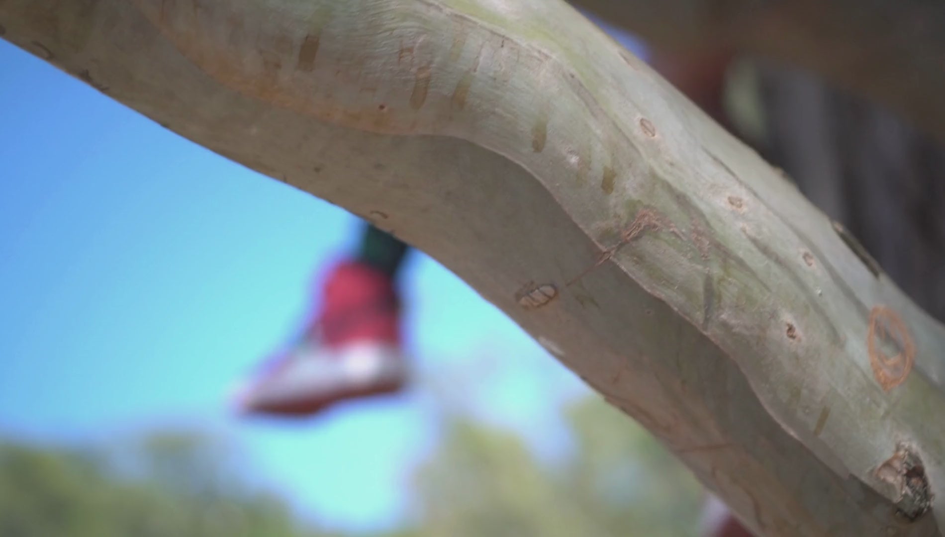 Load video: Discover our collections, CLICK ON THE LINK